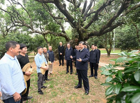 习近平在广东考察时强调 坚定不移全面深化改革扩大高水平对外开放 在推进中国式现代化建设中走在前列